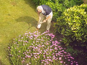 Home & Garden